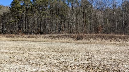 105 Acres Bordering Tar Hollow State Park - image 29