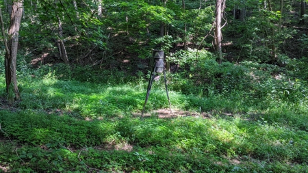 105 Acres Bordering Tar Hollow State Park - image 12
