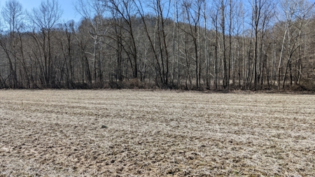 105 Acres Bordering Tar Hollow State Park - image 26