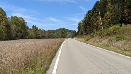 105 Acres Bordering Tar Hollow State Park - image 20
