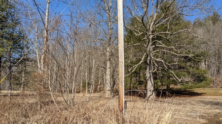 105 Acres Bordering Tar Hollow State Park - image 24