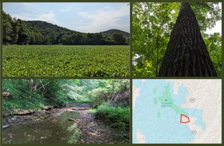 105 Acres Bordering Tar Hollow State Park - image 1