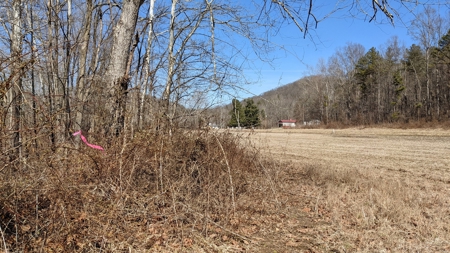 105 Acres Bordering Tar Hollow State Park - image 28