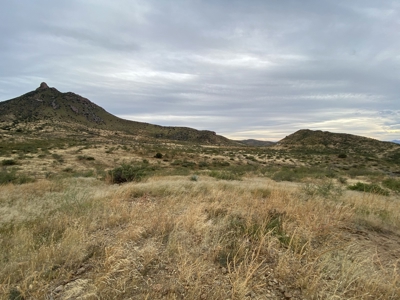 Silver Creek Ranch (Douglas, Az) Jan 26-Online Land Auction - image 2
