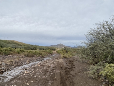 Silver Creek Ranch (Douglas, Az) Jan 26-Online Land Auction - image 6