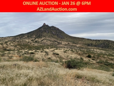 Silver Creek Ranch (Douglas, Az) Jan 26-Online Land Auction - image 1