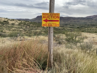 Silver Creek Ranch (Douglas, Az) Jan 26-Online Land Auction - image 10