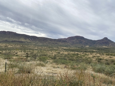 Silver Creek Ranch (Douglas, Az) Jan 26-Online Land Auction - image 9