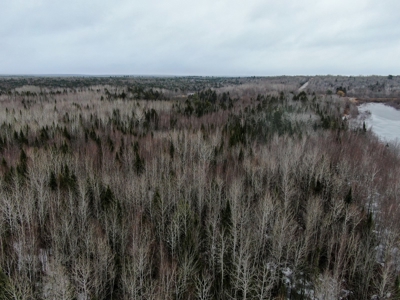 Rural Waterfront Parcel - image 3