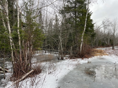 Rural Waterfront Parcel - image 9