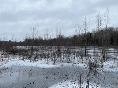 Rural Waterfront Parcel - image 8