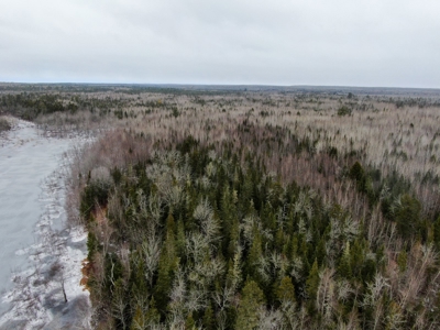 Rural Waterfront Parcel - image 5