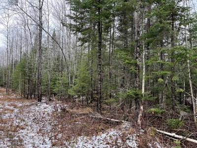 Rural Waterfront Parcel - image 6