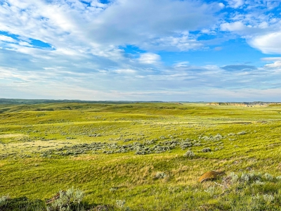 Fort Peck Lake Deeded Acres, Fishing, Hunting in CMR Refuge - image 38