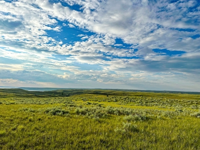 Fort Peck Lake Deeded Acres, Fishing, Hunting in CMR Refuge - image 27