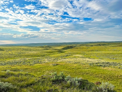 Fort Peck Lake Deeded Acres, Fishing, Hunting in CMR Refuge - image 34