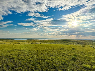 Fort Peck Lake Deeded Acres, Fishing, Hunting in CMR Refuge - image 29