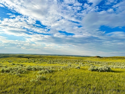 Fort Peck Lake Deeded Acres, Fishing, Hunting in CMR Refuge - image 28