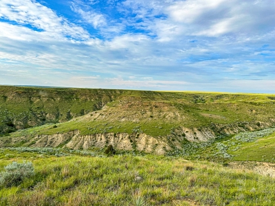 Fort Peck Lake Deeded Acres, Fishing, Hunting in CMR Refuge - image 20