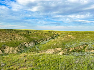 Fort Peck Lake Deeded Acres, Fishing, Hunting in CMR Refuge - image 21