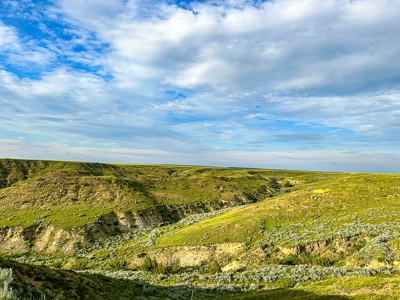 Fort Peck Lake Deeded Acres, Fishing, Hunting in CMR Refuge - image 9