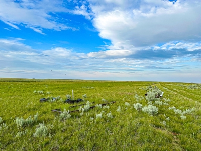 Fort Peck Lake Deeded Acres, Fishing, Hunting in CMR Refuge - image 24