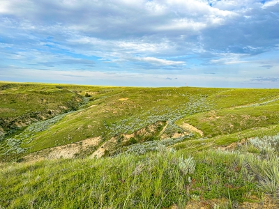 Fort Peck Lake Deeded Acres, Fishing, Hunting in CMR Refuge - image 22