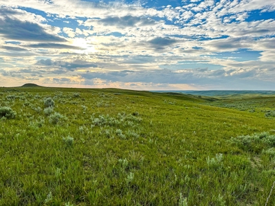 Fort Peck Lake Deeded Acres, Fishing, Hunting in CMR Refuge - image 49