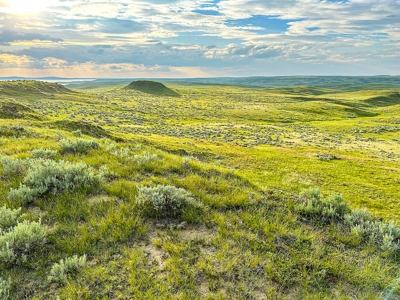 Fort Peck Lake Deeded Acres, Fishing, Hunting in CMR Refuge - image 42