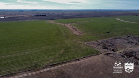 335± Acres of Farmland & Pasture in Sumner County, Kansas - image 5
