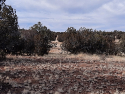 Rural Off Grid Northern Az Property With Gorgeous Views - image 4