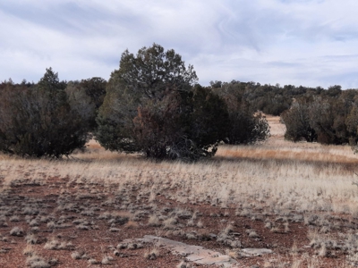 Rural Off Grid Northern Az Property With Gorgeous Views - image 5