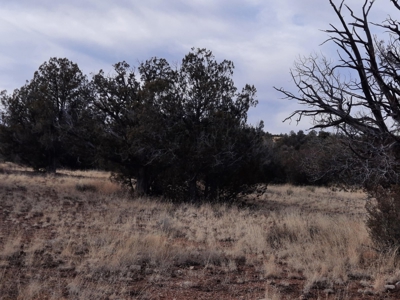 Rural Off Grid Northern Az Property With Gorgeous Views - image 2