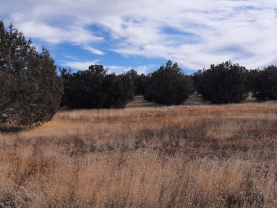 Rural Off Grid Northern Az Property With Gorgeous Views - image 7