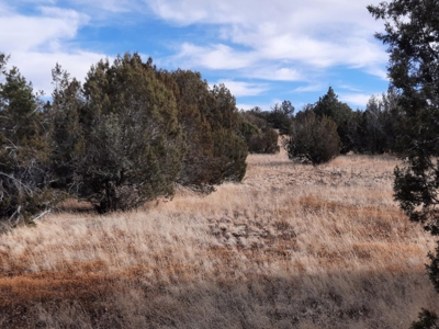 Rural Off Grid Northern Az Property With Gorgeous Views - image 8