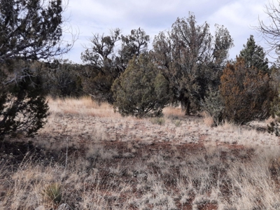 Rural Off Grid Northern Az Property With Gorgeous Views - image 3