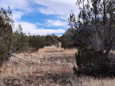 Rural Off Grid Northern Az Property With Gorgeous Views - image 9