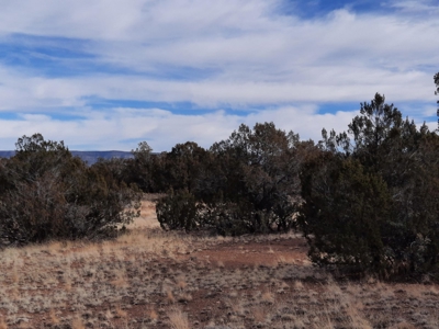 Rural Off Grid Northern Az Property - image 5