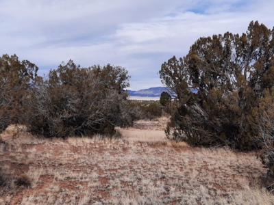 Rural Off Grid Northern Az Property - image 8
