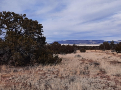 Rural Off Grid Northern Az Property - image 1