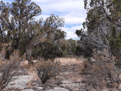 Rural Off Grid Northern Az Property - image 3