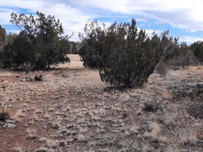 Rural Off Grid Northern Az Property - image 6