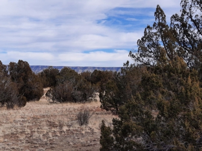 Rural Off Grid Northern Az Property - image 4