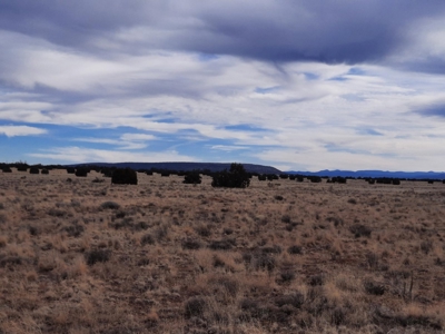 360 Views - image 5