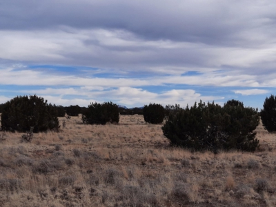 360 Views - image 8