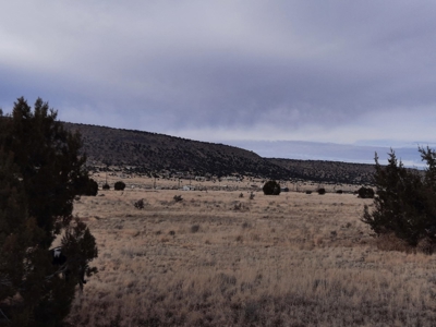 360 Views - image 6