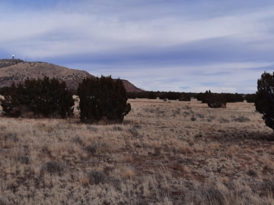 360 Views - image 7