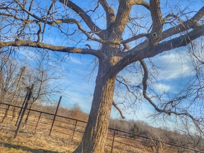 Land For Sale Stockton Lake Missouri - image 28