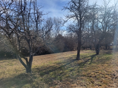 Land For Sale Stockton Lake Missouri - image 23