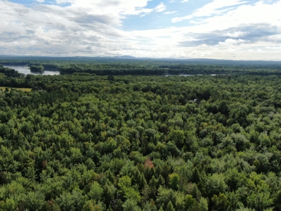 Private 2.3 acre lot - image 4